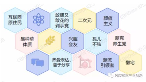 優(yōu)寵智能2021 數(shù)字文化創(chuàng)意內(nèi)容如何引爆寵物產(chǎn)品與服務(wù)