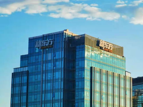 新東方成立數(shù)字科技公司 數(shù)字文化創(chuàng)意內(nèi)容應(yīng)用服務(wù)的戰(zhàn)略布局與未來展望